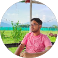 Bhaskar Roy profile picture